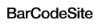 BARCODE SITE Logo